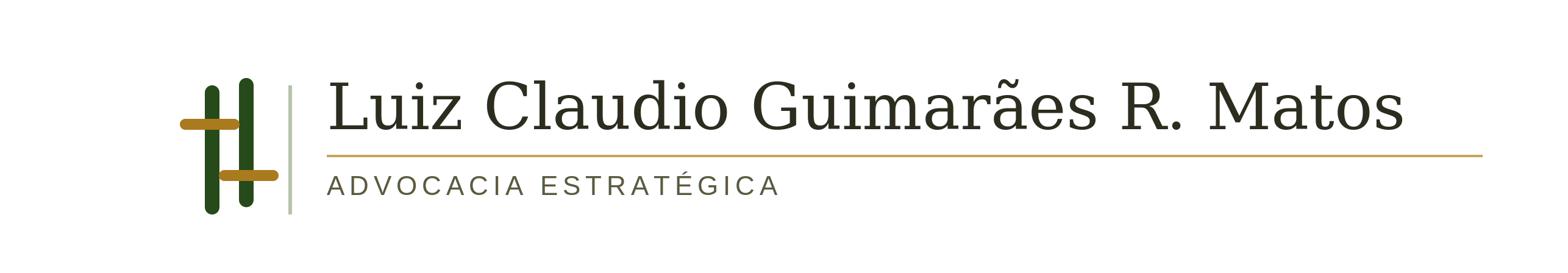 Luiz Claudio Guimarães R. Matos — Advocacia Estratégica